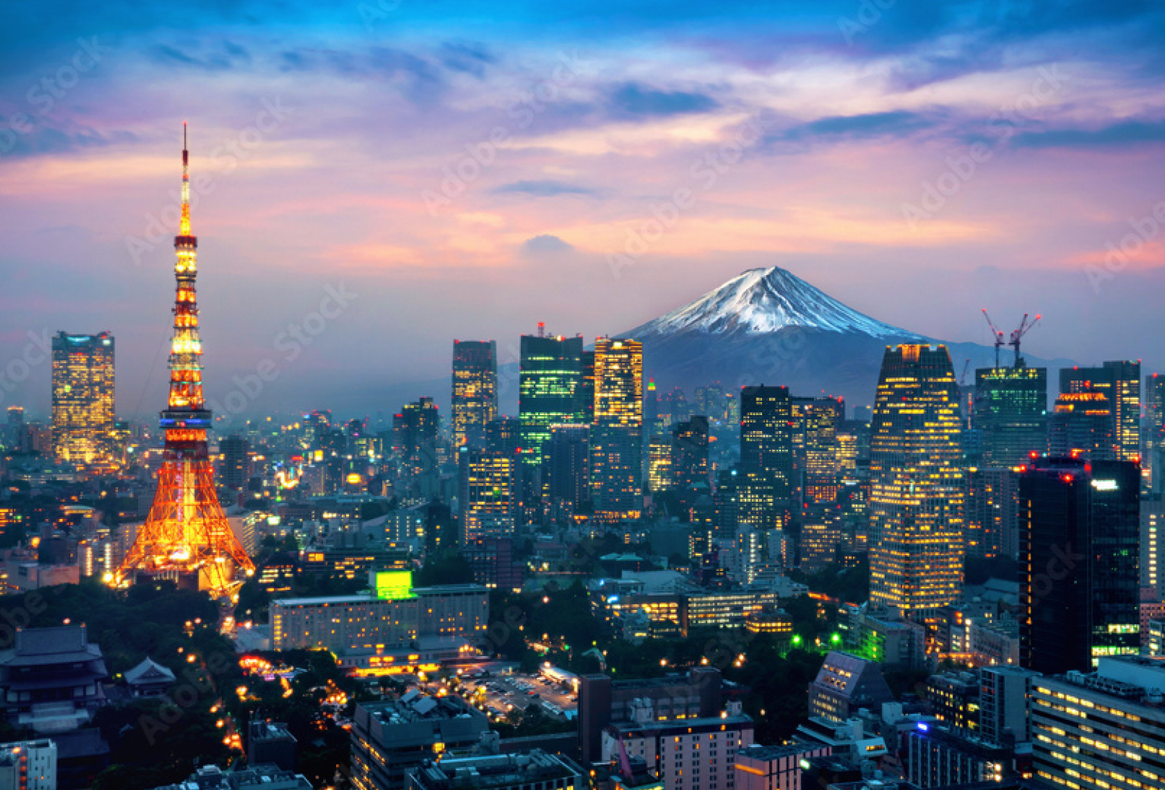 Tokyo Student Recruitment Fair & Agent Speed-Dating Event